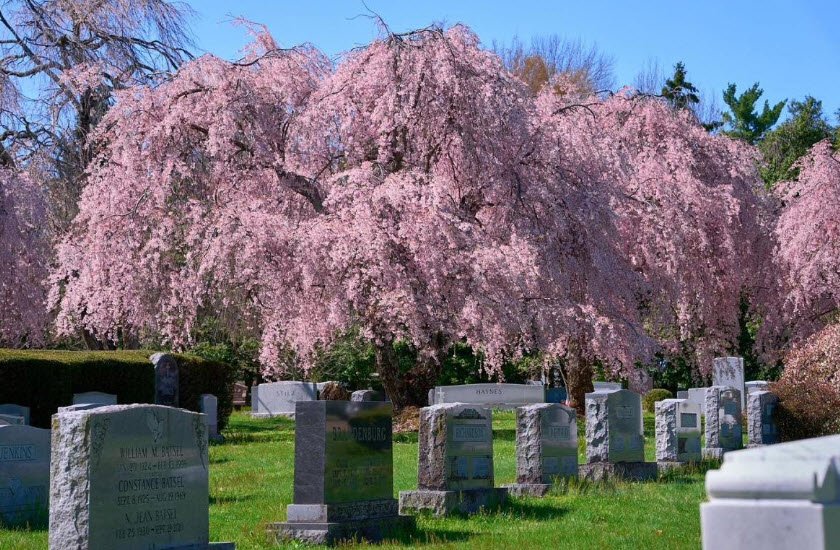 The Lexington Cemetery, United States